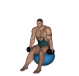 Anterior Raise - Fitness Ball Dumbbell